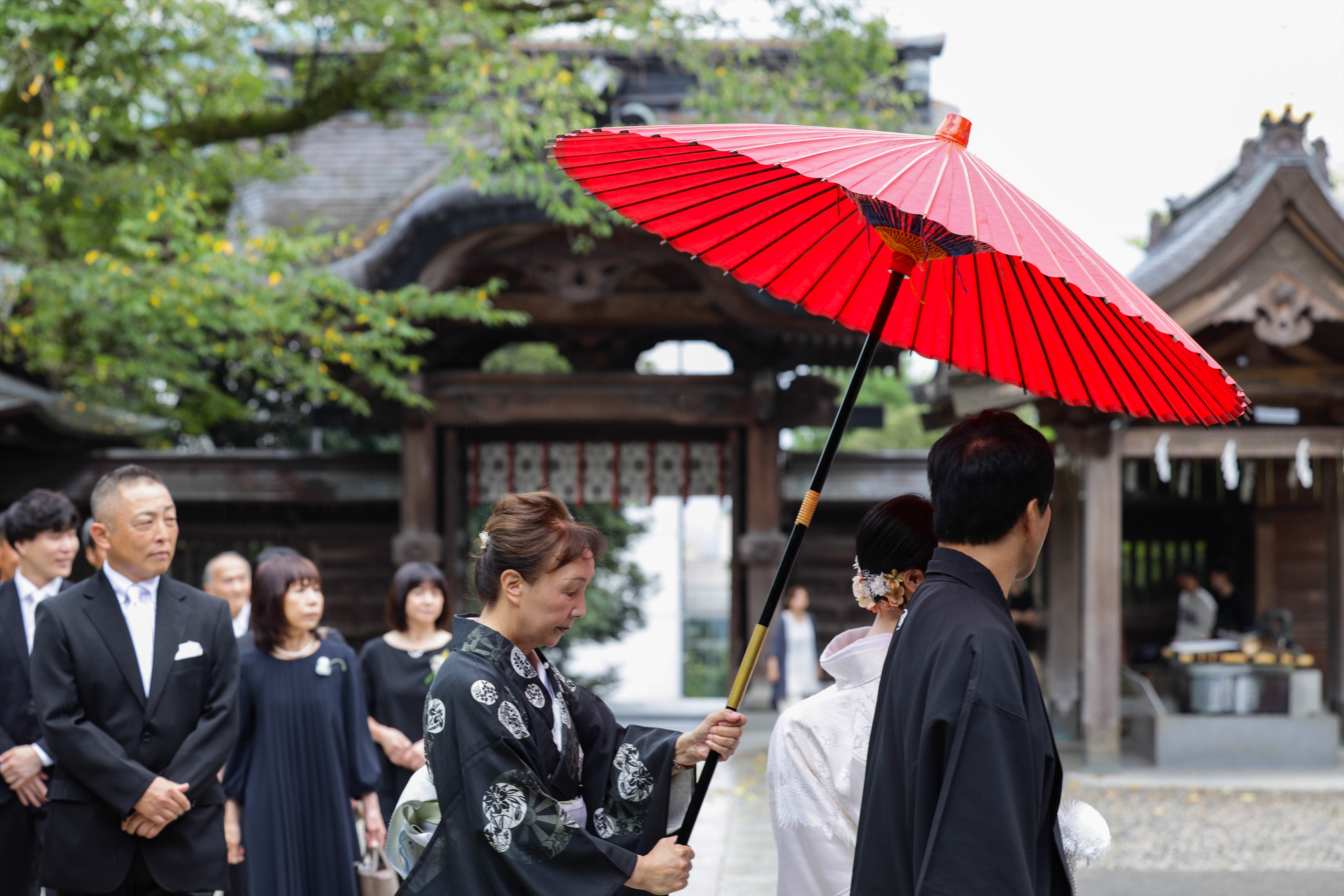 赤い和傘に守られ参道を進む白無垢の新婦と参列者の花嫁行列