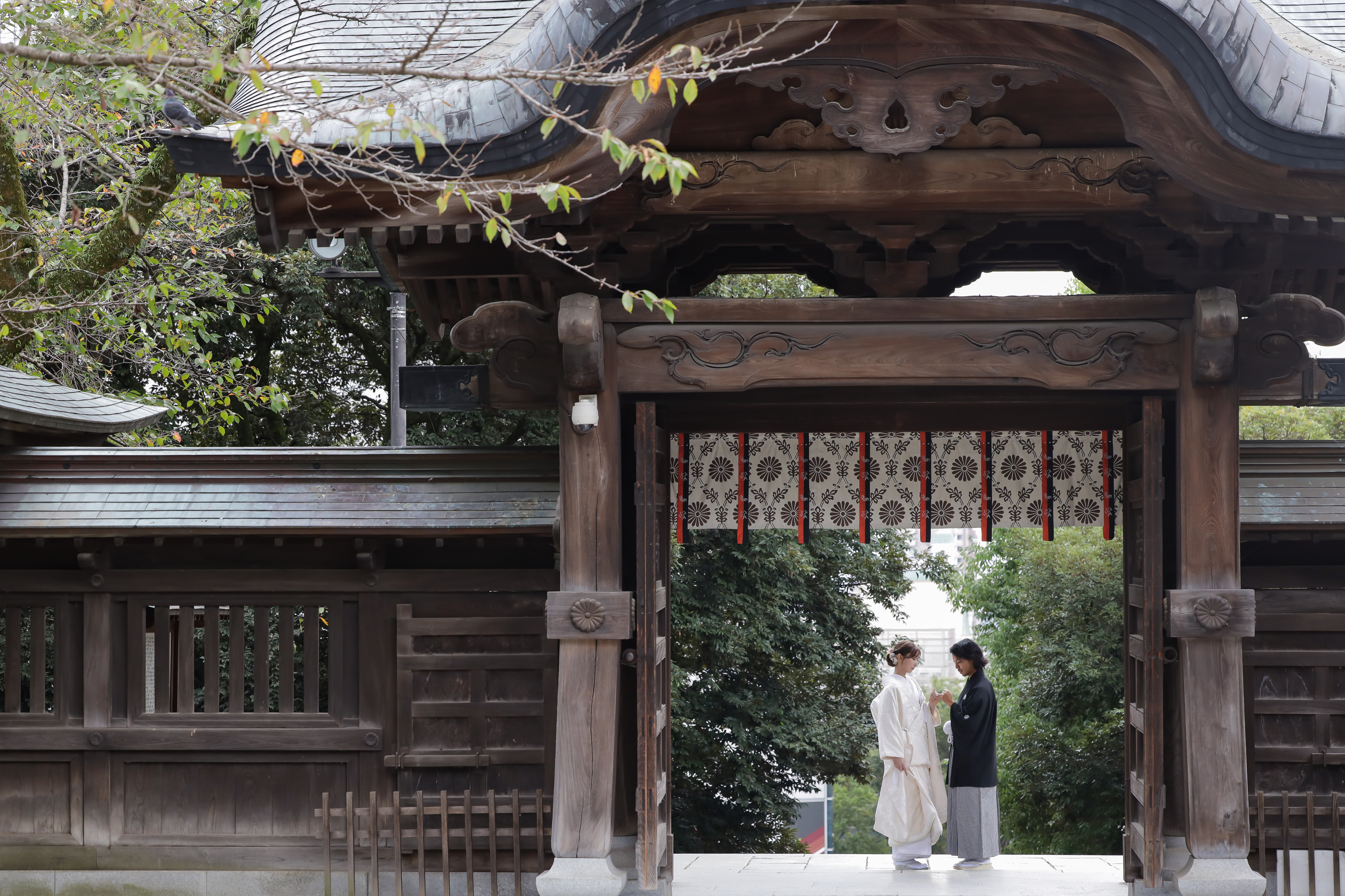 二荒山神社の重厚な神門をくぐり見つめ合う白無垢の新婦と紋付袴の新郎