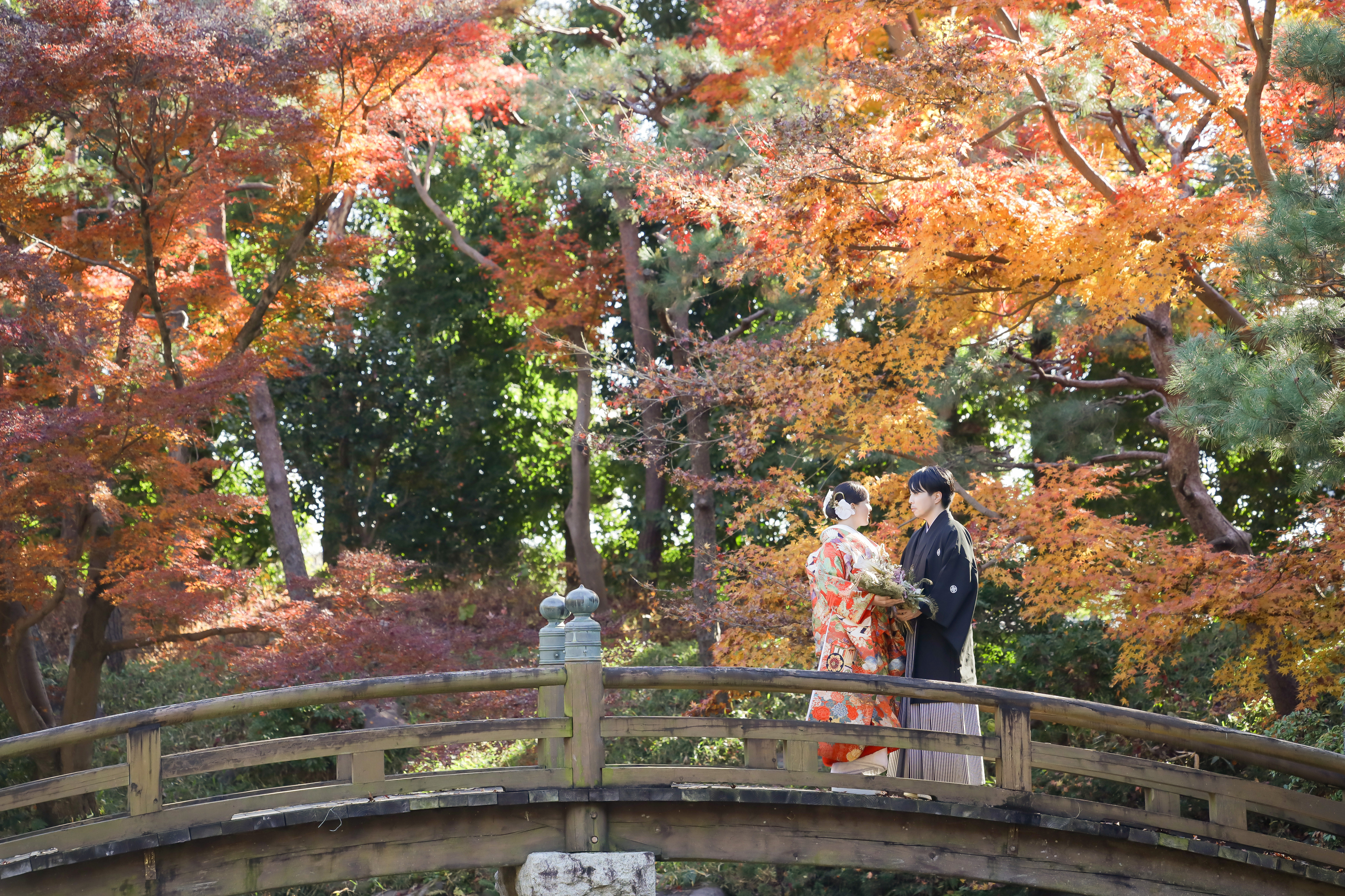 紅葉に囲まれた日本庭園の太鼓橋で向かい合う色打掛と黒紋付袴の二人