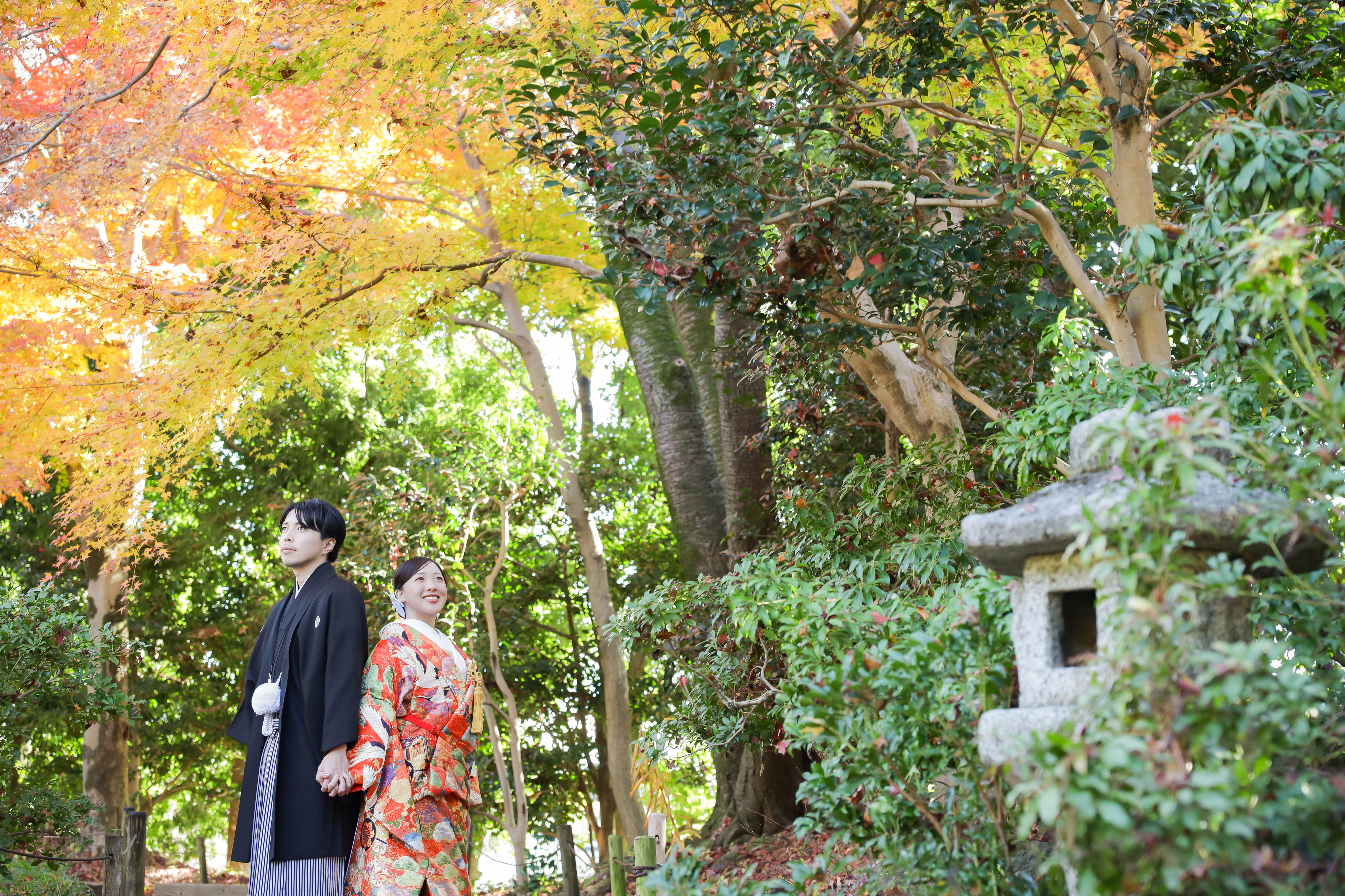 黄葉と灯籠のある庭園で手をつないで見上げる色打掛の新婦と黒紋付袴の新郎