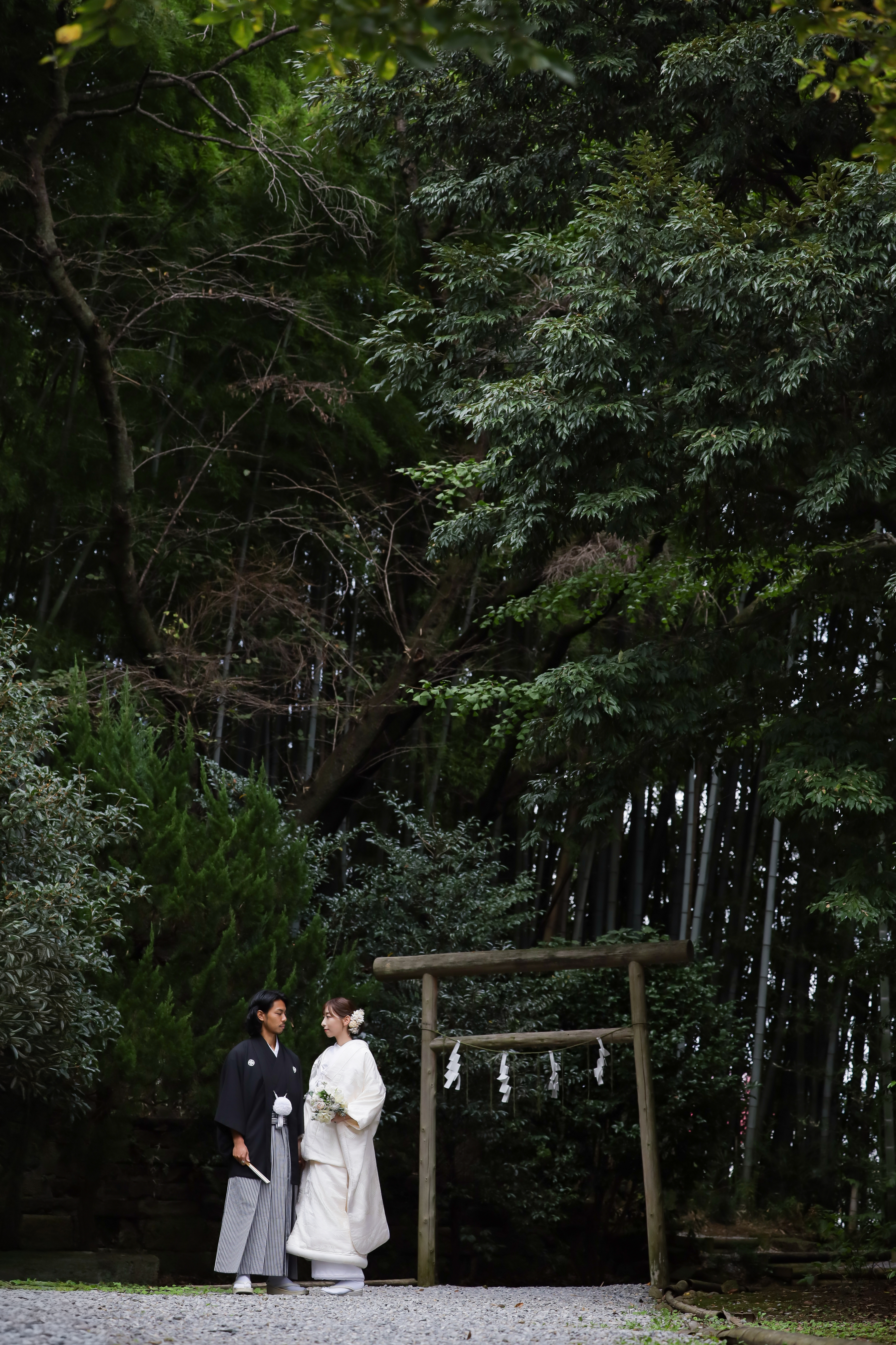 深い緑と鳥居のそばで向かい合う白無垢の新婦と黒紋付袴の新郎
