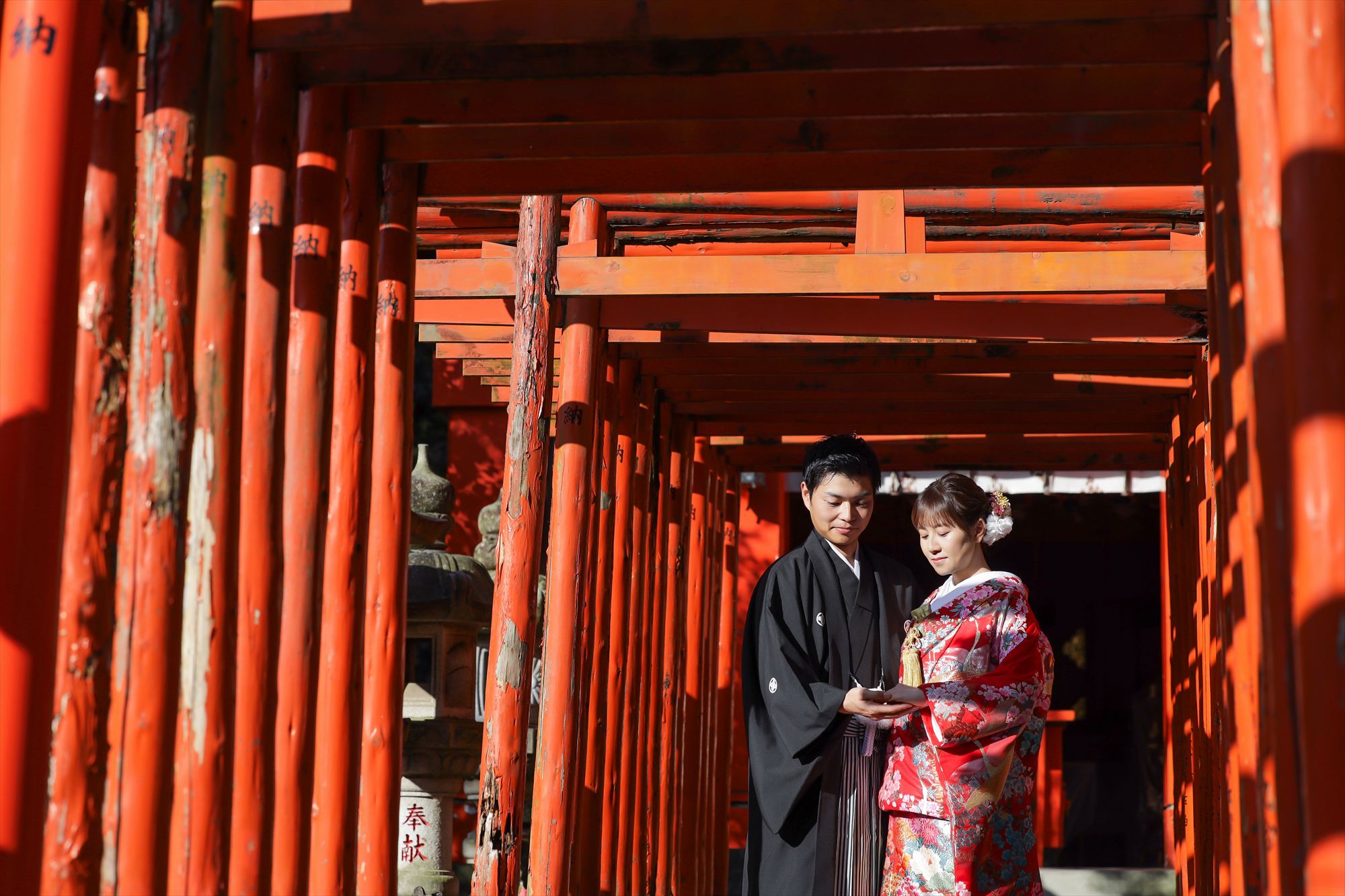 朱色の千本鳥居の下で寄り添う赤い色打掛の新婦と黒紋付袴の新郎
