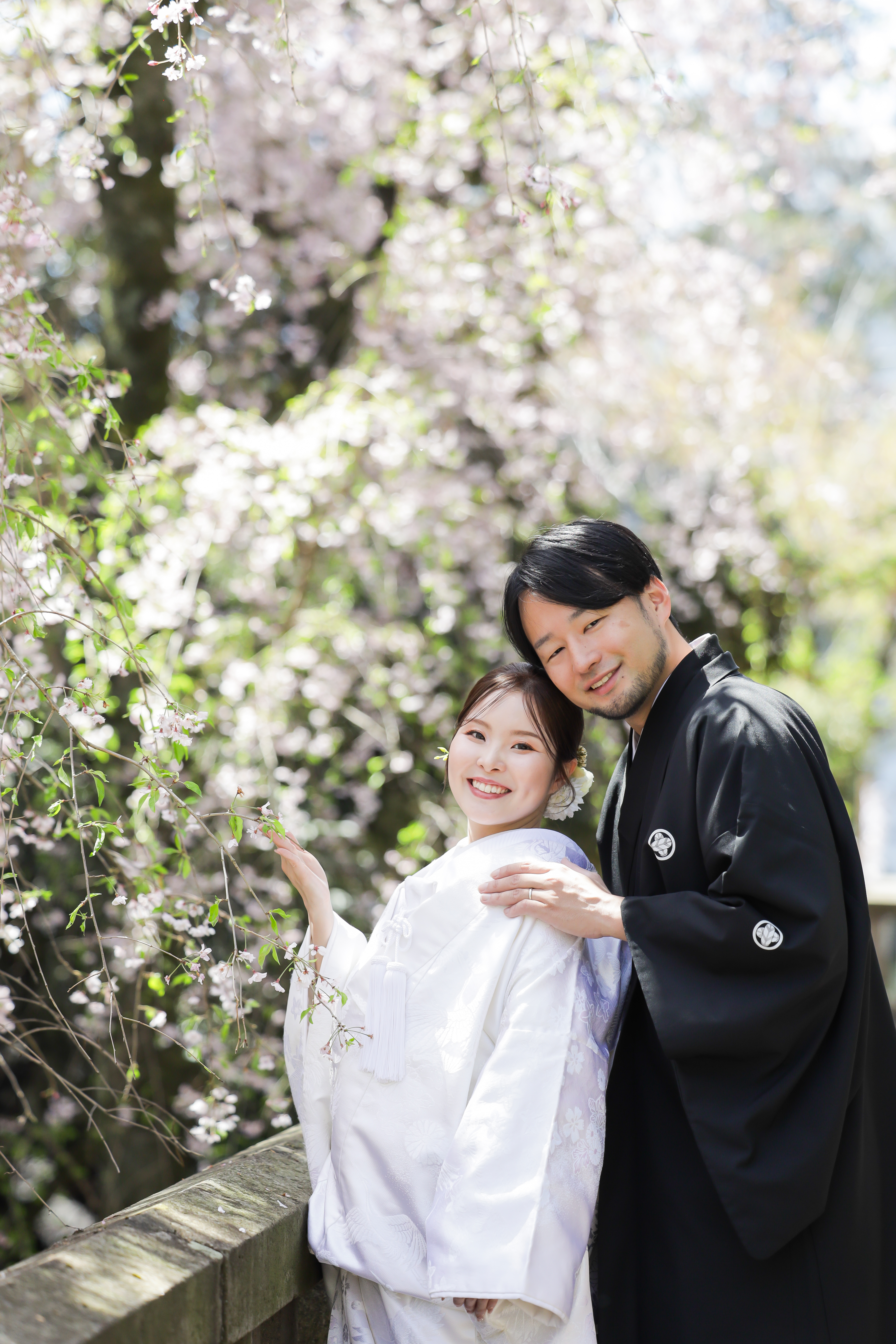 しだれ桜の枝に手を添えて微笑む白無垢の新婦と寄り添う黒紋付袴の新郎
