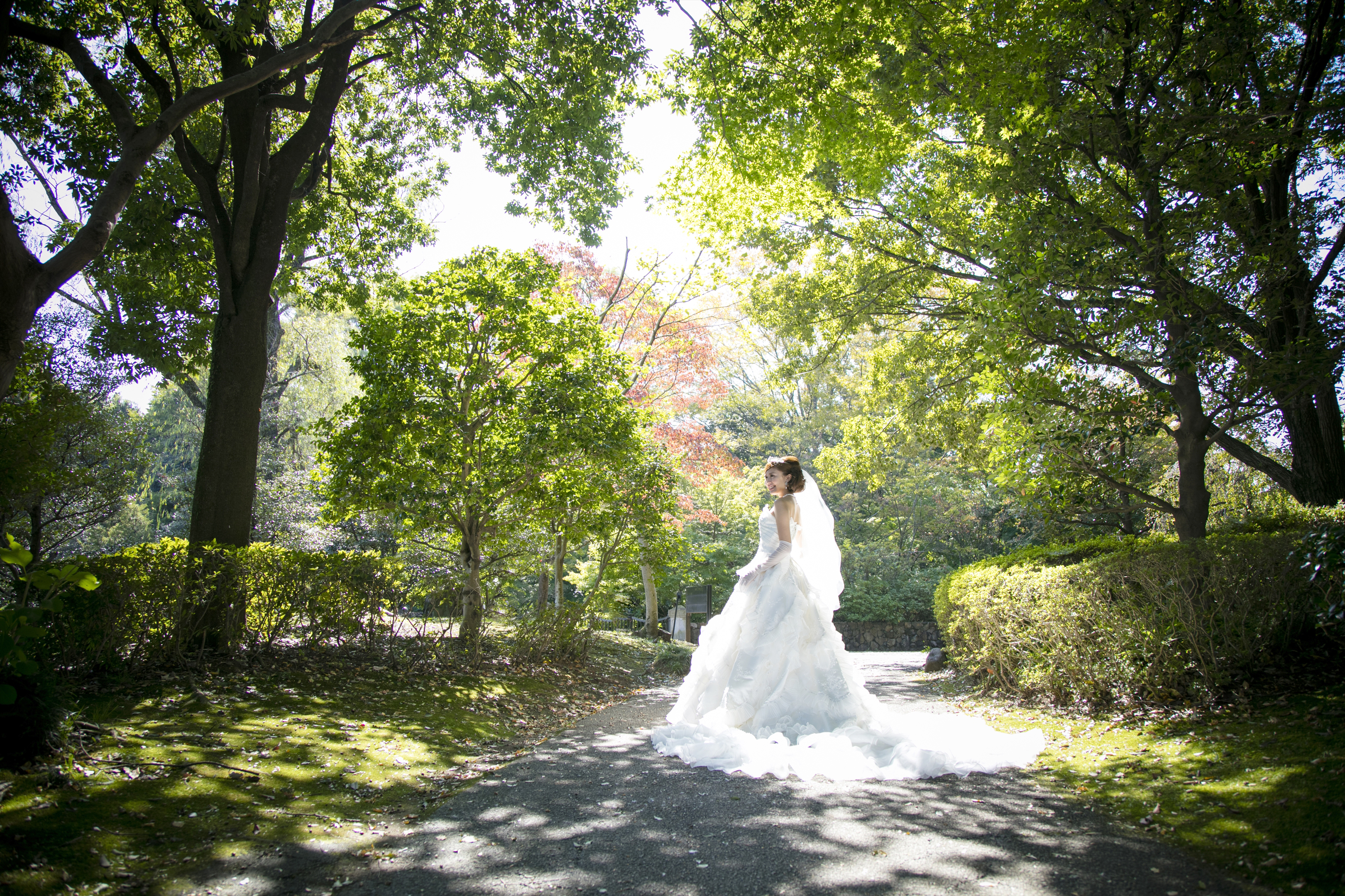 木漏れ日の小径でトレーンを広げて振り返るウェディングドレスの新婦