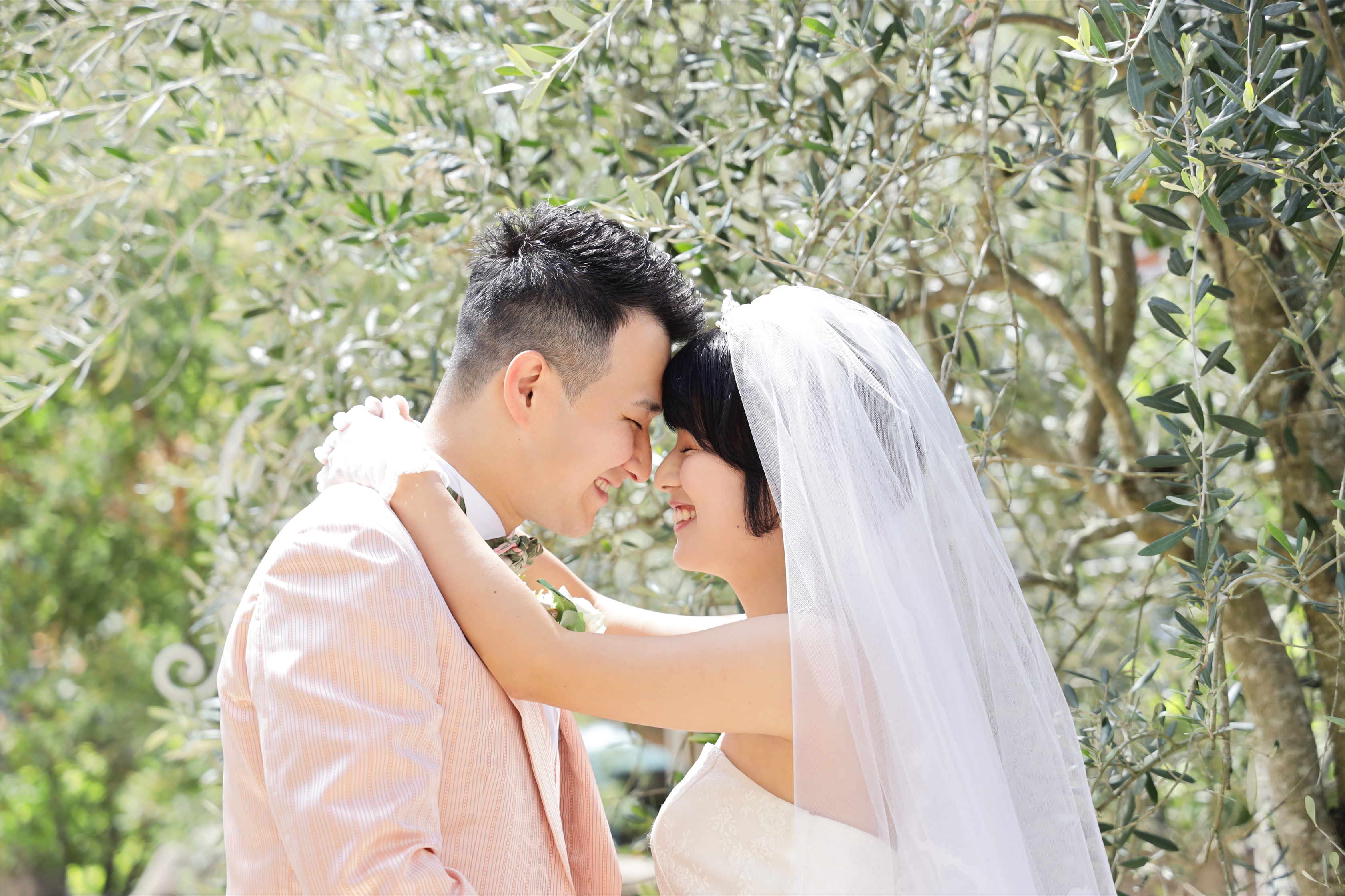 オリーブの木陰で額を寄せ合うウェディングドレスの新婦とピンクタキシードの新郎