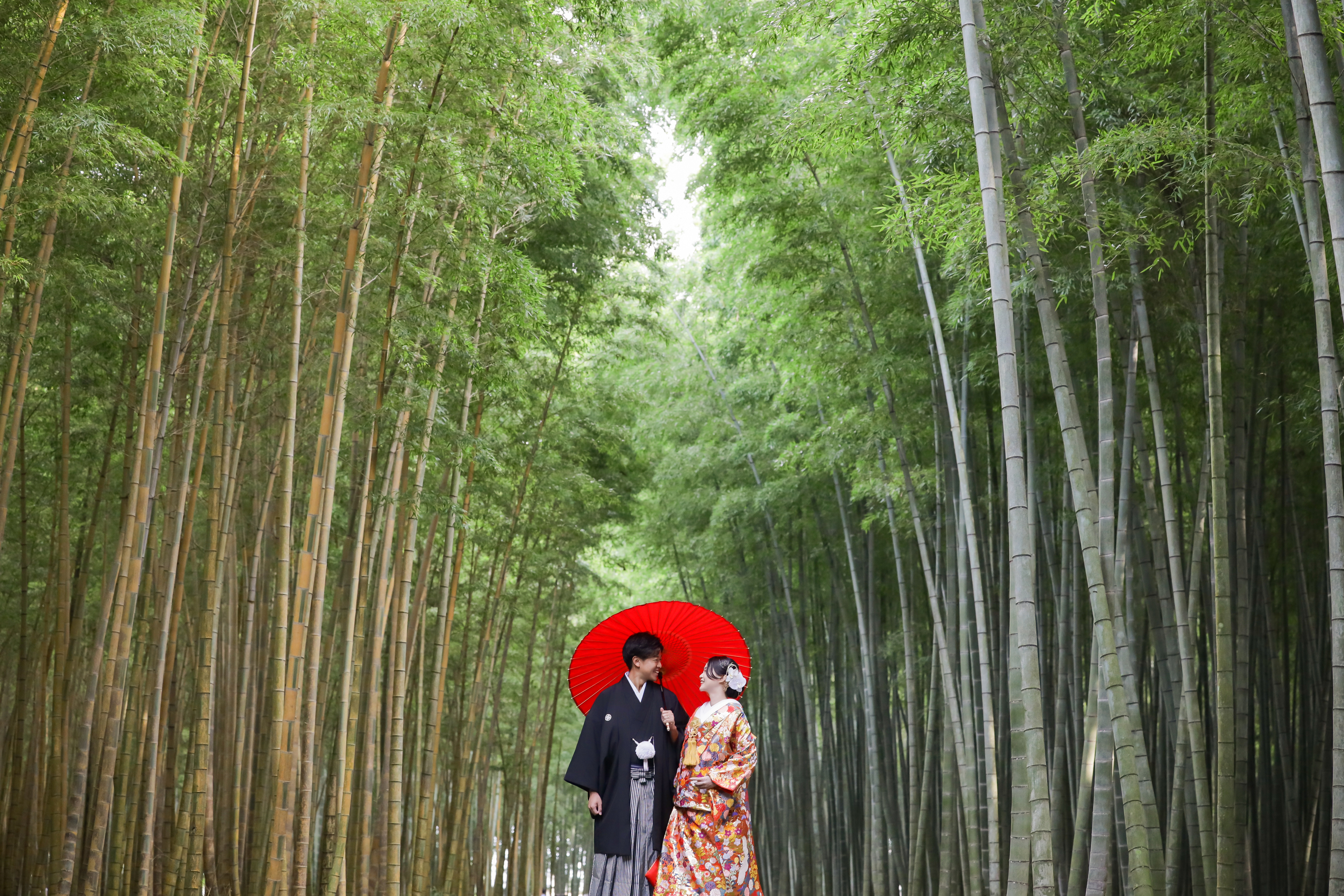 竹林の並木道で赤い和傘をさし見つめ合う色打掛の新婦と紋付袴の新郎